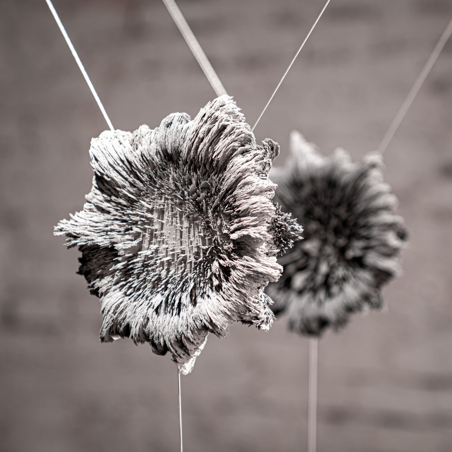 Studio Quirin Krumbholz