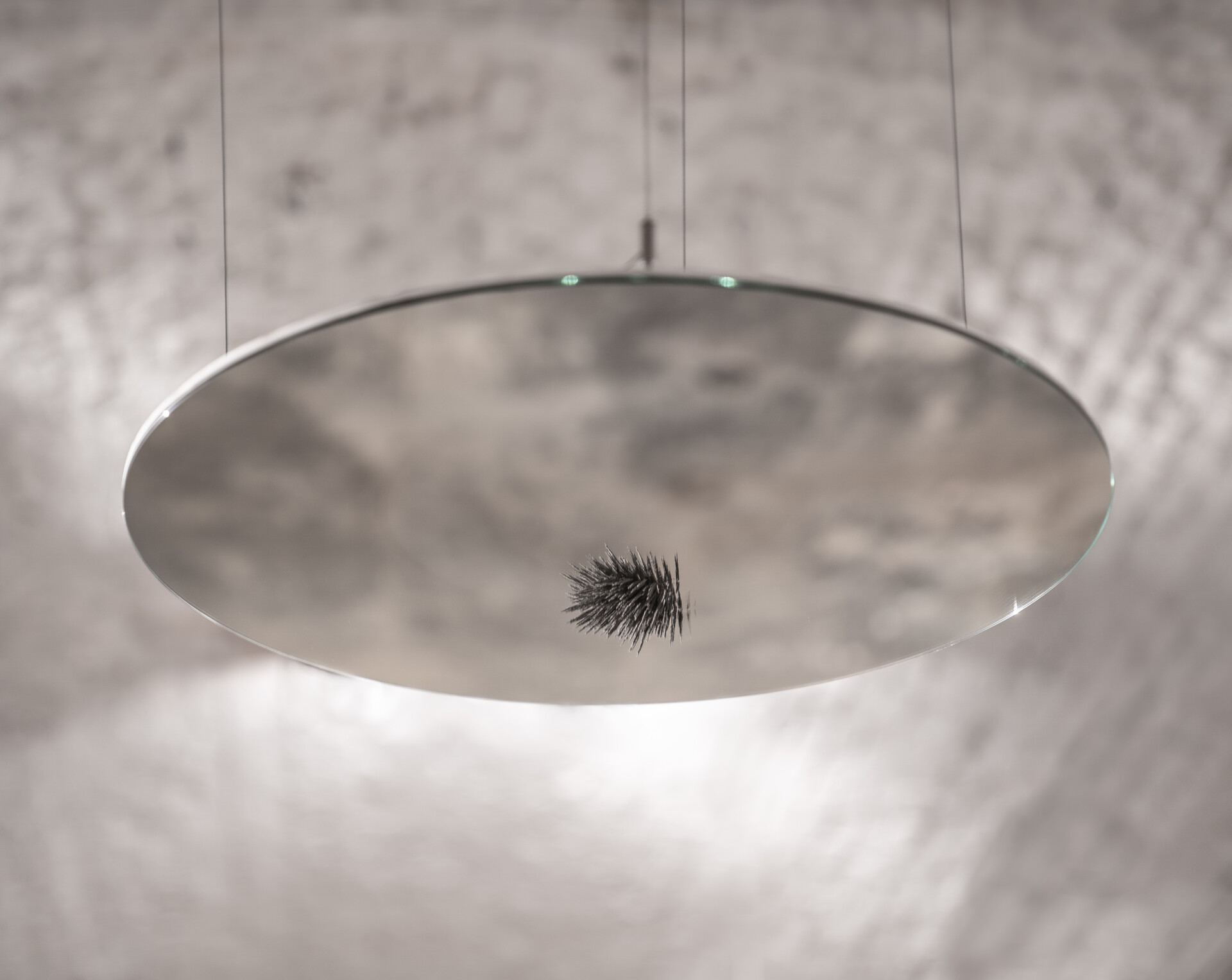 Studio Quirin Krumbholz