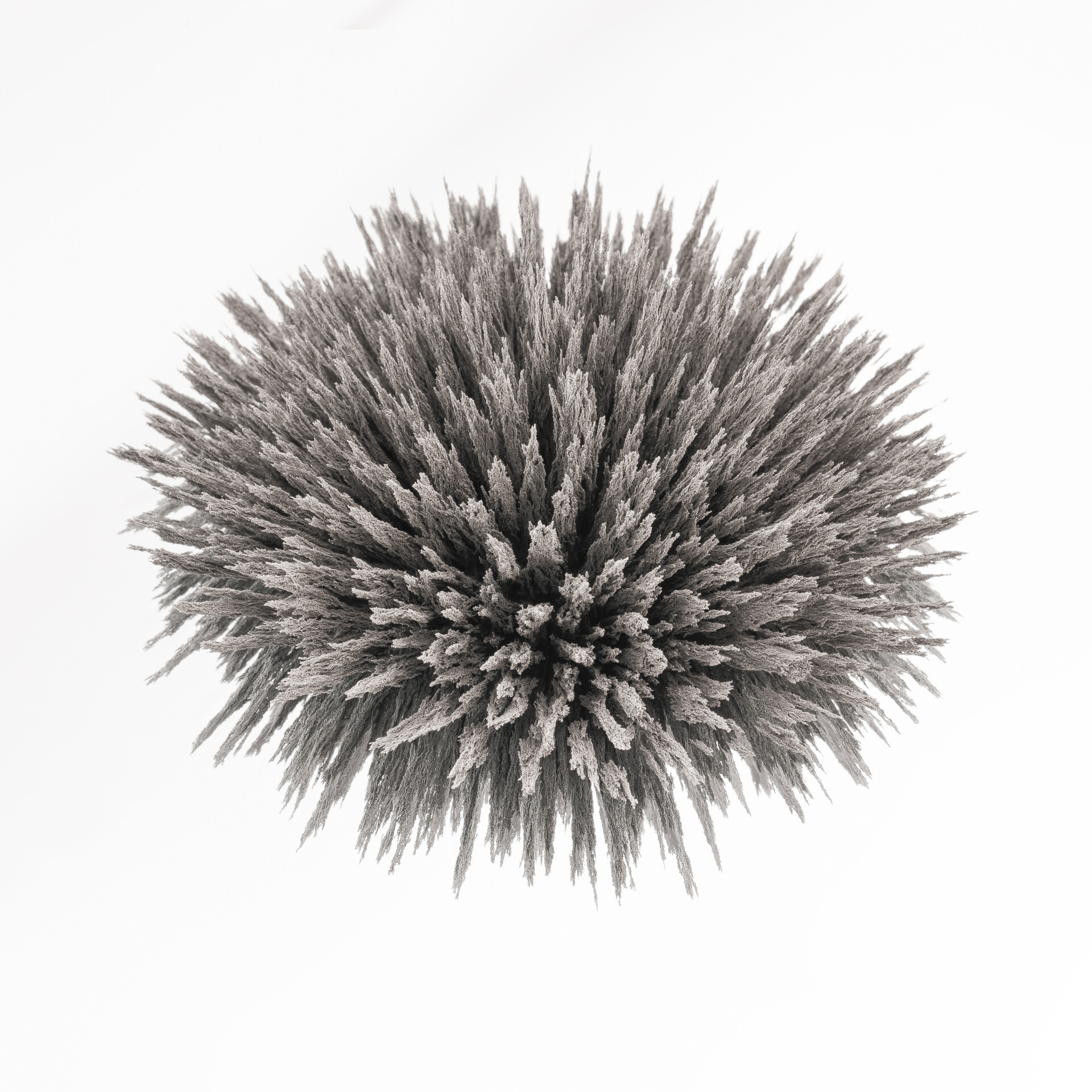 Studio Quirin Krumbholz