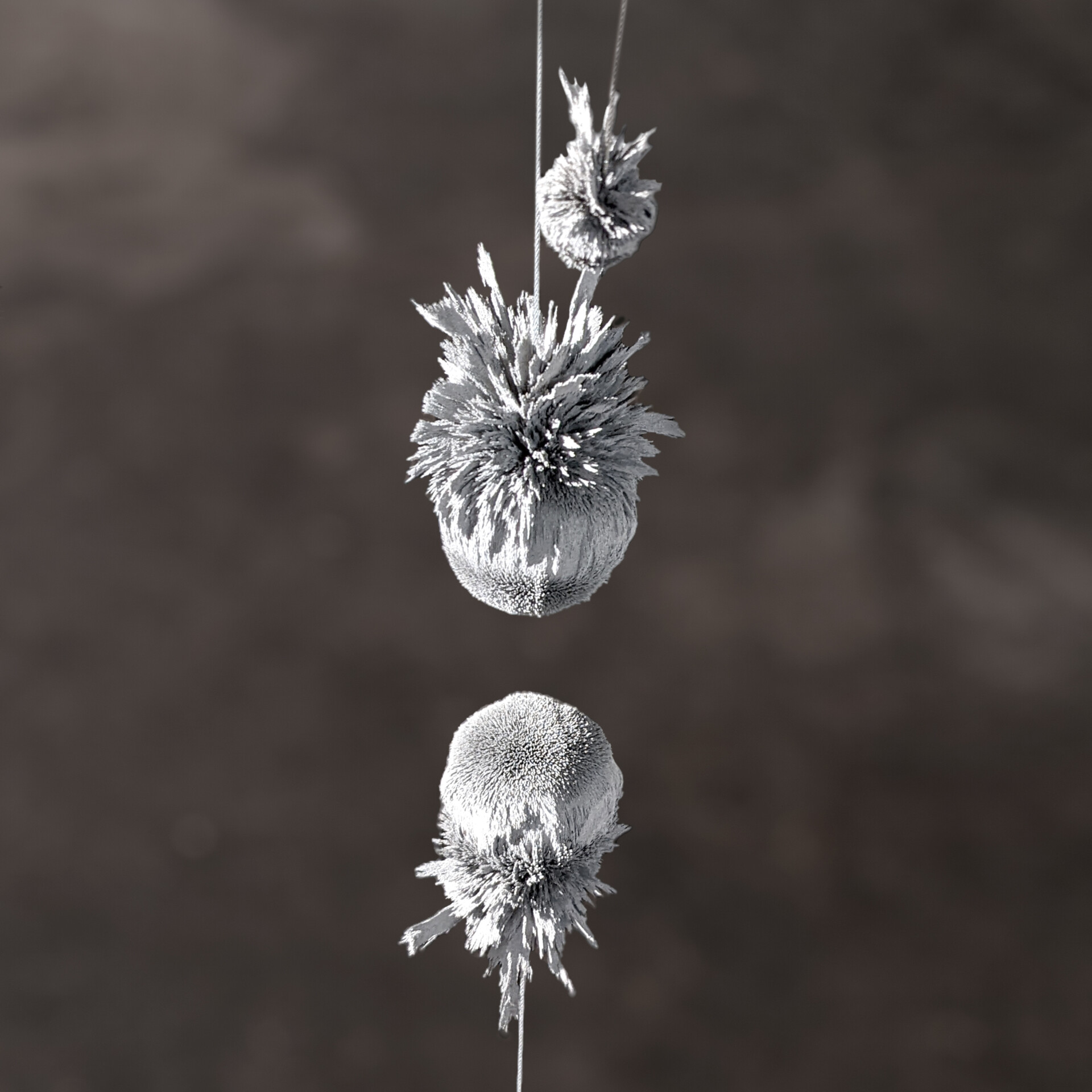 Studio Quirin Krumbholz