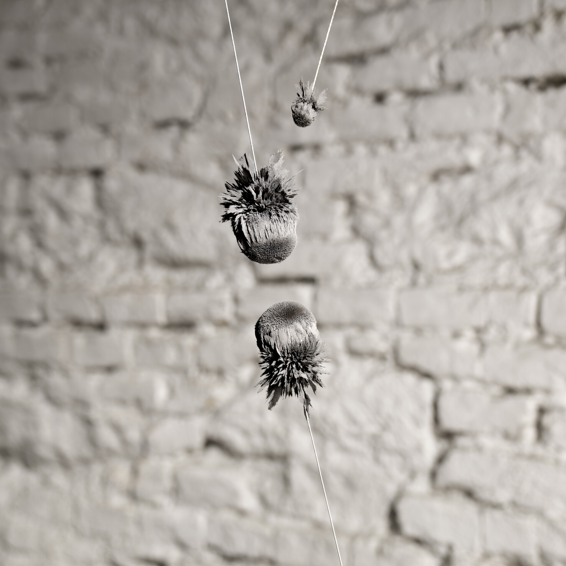 Studio Quirin Krumbholz