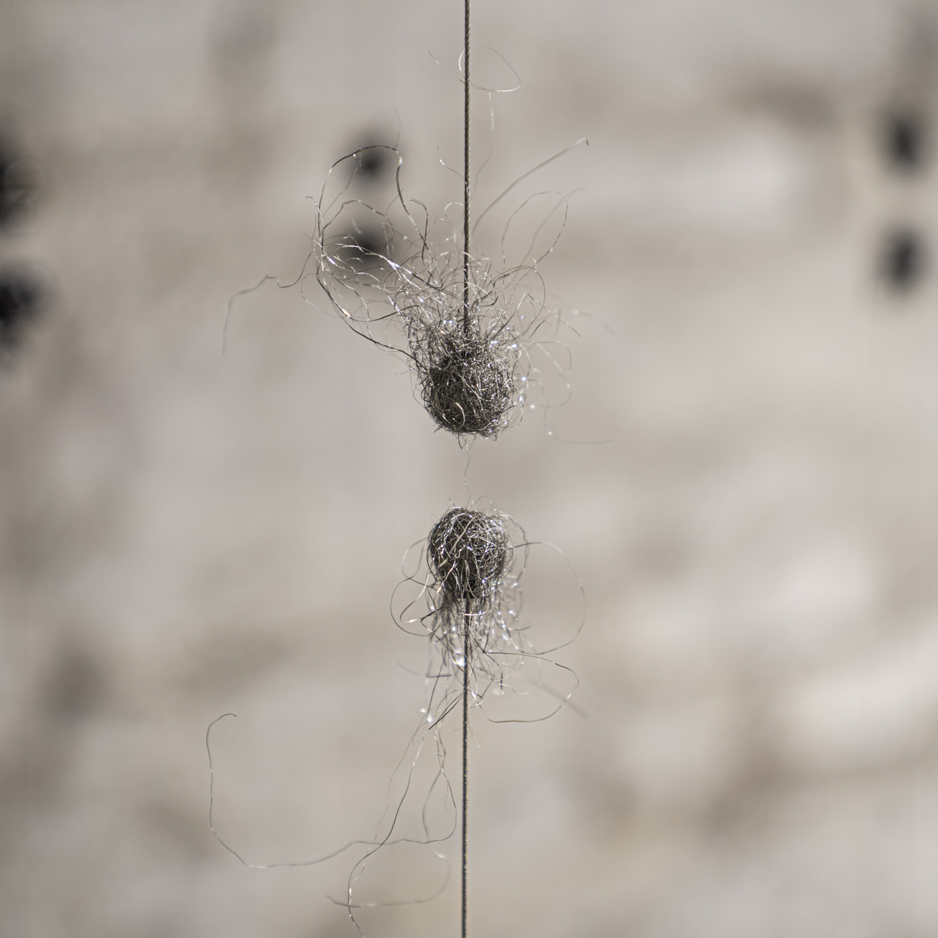 Studio Quirin Krumbholz