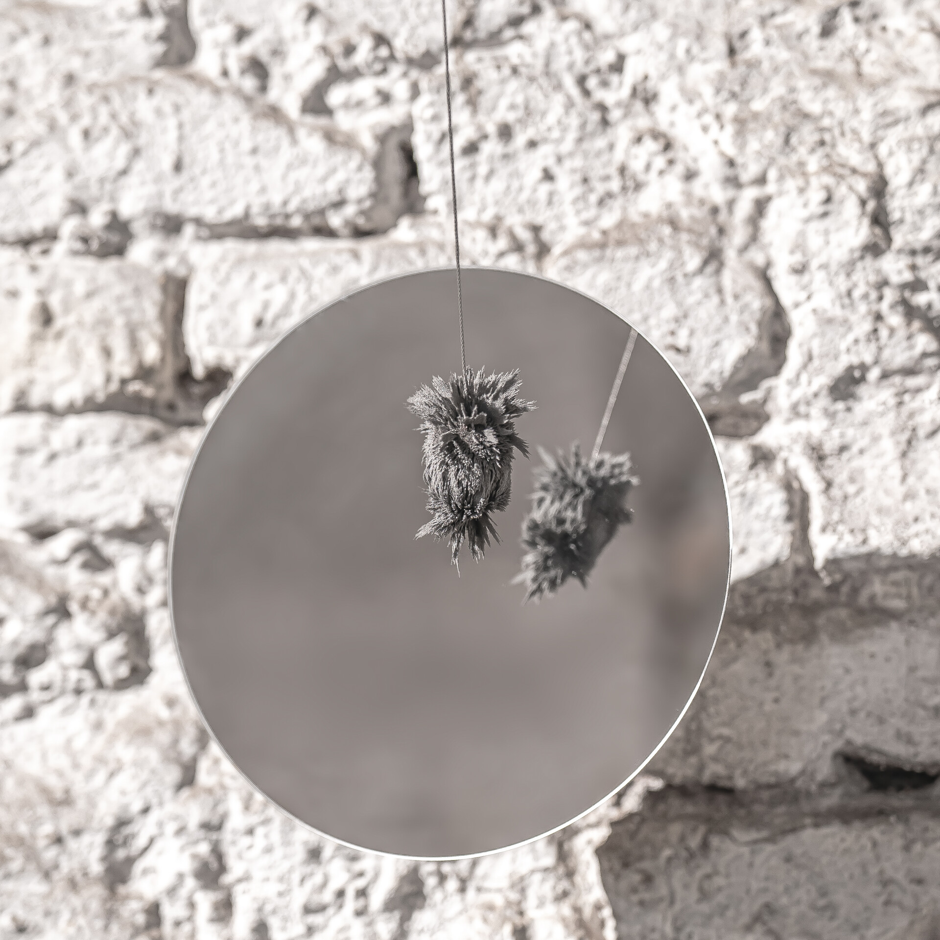 Studio Quirin Krumbholz