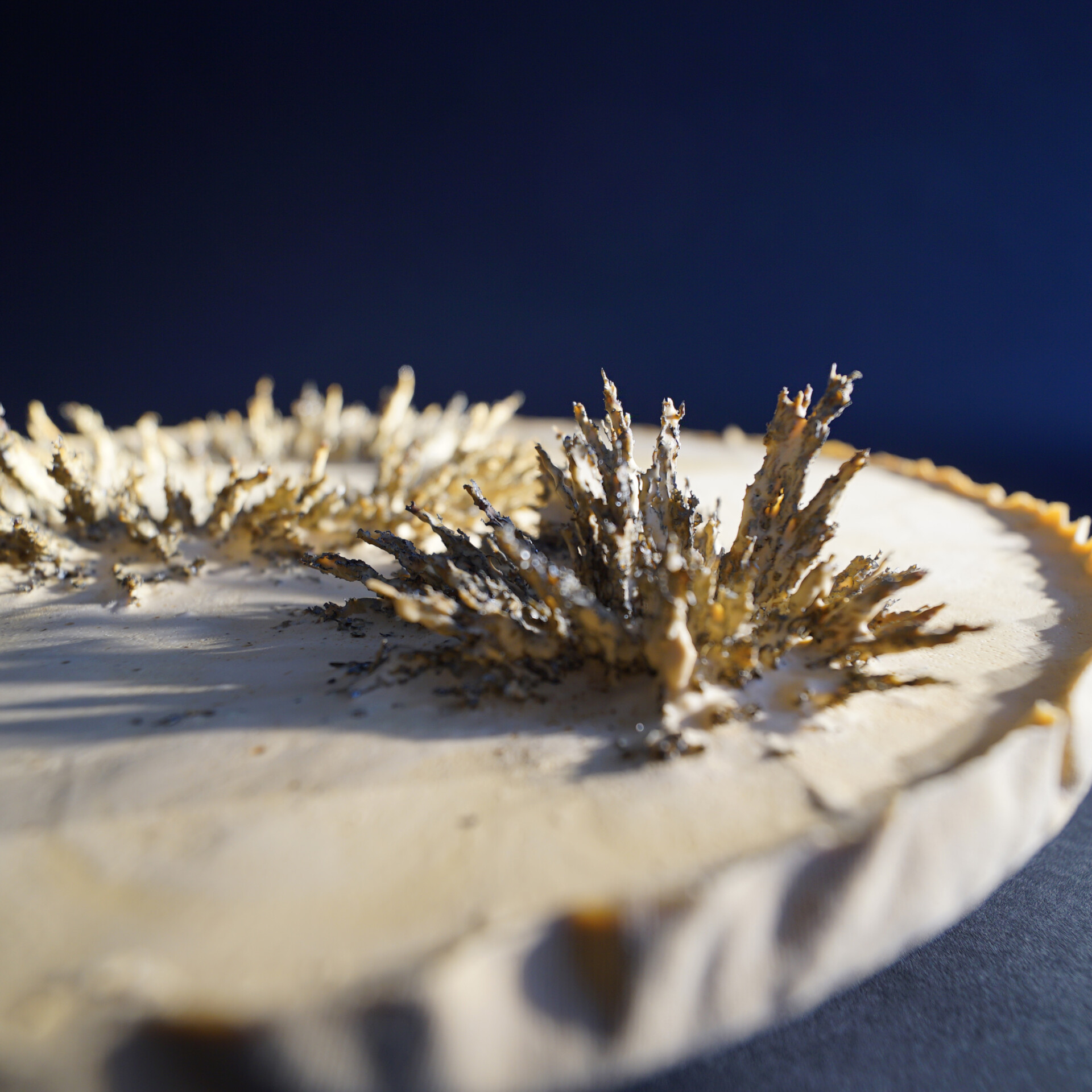 Quirin Krumbholz, magnetic art 