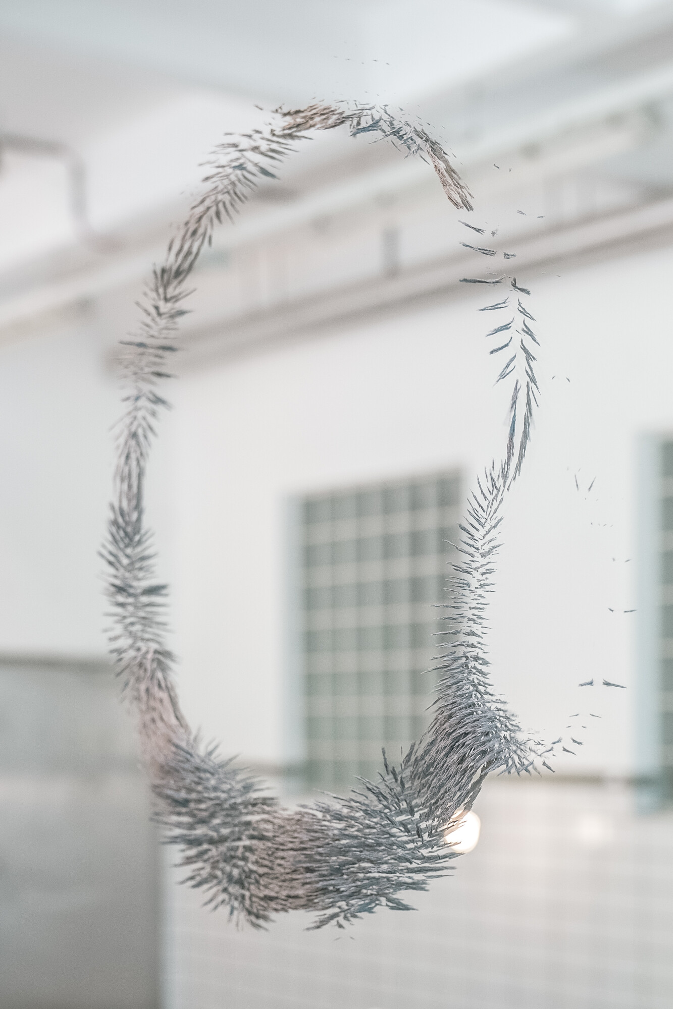 Studio Quirin Krumbholz